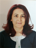 Prof. Dr. NAGEHAN ÖZDEMİR BARIŞIK